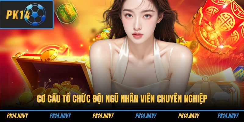 Cơ cấu tổ chức đội ngũ nhân viên chuyên nghiệp